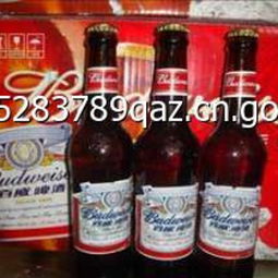 宇佳啤酒 品質與創新的完美融合，最新產品展示與創業商機解析