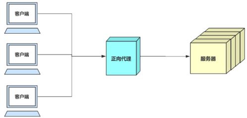 網(wǎng)絡(luò)基礎(chǔ)中的其他重要協(xié)議與技術(shù) DNS、ICMP、NAT與網(wǎng)絡(luò)技術(shù)服務(wù)
